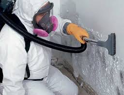 Best Black Mold Removal  in Hot Springs, SD